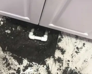石城查漏水哪家好
